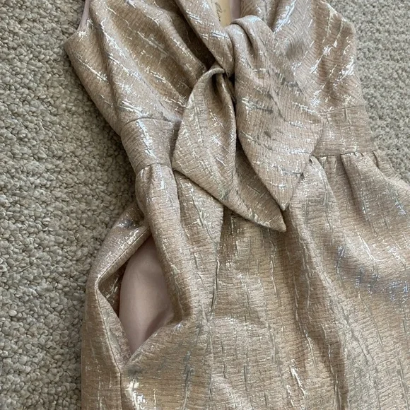 Vintage hunter Dixon brocade lined dress in silver & blush size 2 - Picture 4 of 14